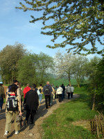 Bittwallfahrt 2005 (4)