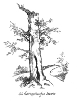 Die Schlapphanjesbuche Die Schlapphanjesbuche