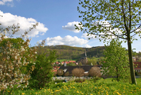 Fr&uuml;hlingserwachen 2005