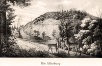 Die Allerburg