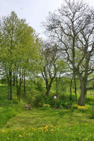 Fr&uuml;hlingserwachen 2005