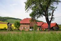 Fr&uuml;hlingserwachen 2005