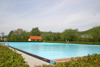 Fr&uuml;hlingserwachen 2005