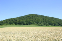 Blick zum Walperb&uuml;hl vom Kindergarten aus