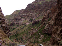 Wilde Landschaften