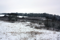 Keudelsteiner GutsgelÃ¤nde im Januar 2010