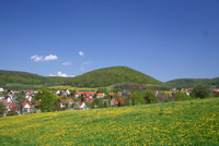 Frühlingserwachen 2005 Frühlingserwachen 2005