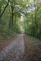 2006-10-21 - Samstag - Holen u. Aufstellen der Kirmestanne