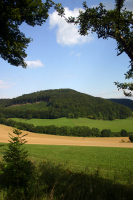 Nachsommer 4