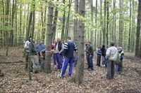 2006-10-21 - Samstag - Holen u. Aufstellen der Kirmestanne