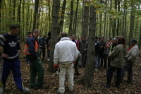 2006-10-21 - Samstag - Holen u. Aufstellen der Kirmestanne