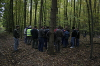 2006-10-21 - Samstag - Holen u. Aufstellen der Kirmestanne
