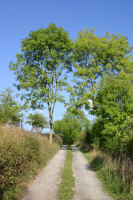Nachsommer 5