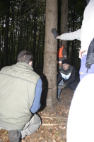 2006-10-21 - Samstag - Holen u. Aufstellen der Kirmestanne