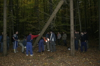 2006-10-21 - Samstag - Holen u. Aufstellen der Kirmestanne