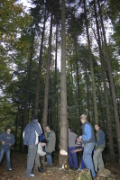 2006-10-21 - Samstag - Holen u. Aufstellen der Kirmestanne