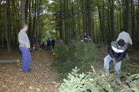 2006-10-21 - Samstag - Holen u. Aufstellen der Kirmestanne