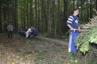 2006-10-21 - Samstag - Holen u. Aufstellen der Kirmestanne