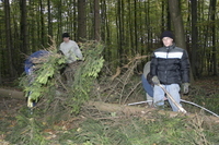 2006-10-21 - Samstag - Holen u. Aufstellen der Kirmestanne
