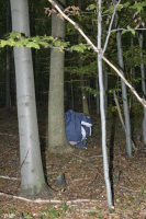2006-10-21 - Samstag - Holen u. Aufstellen der Kirmestanne