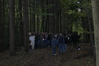 2006-10-21 - Samstag - Holen u. Aufstellen der Kirmestanne