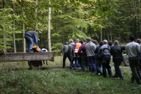 2006-10-21 - Samstag - Holen u. Aufstellen der Kirmestanne