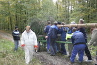 2006-10-21 - Samstag - Holen u. Aufstellen der Kirmestanne