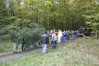 2006-10-21 - Samstag - Holen u. Aufstellen der Kirmestanne