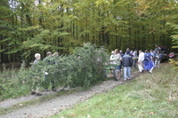 2006-10-21 - Samstag - Holen u. Aufstellen der Kirmestanne