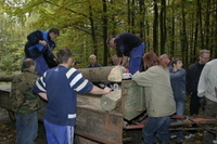 2006-10-21 - Samstag - Holen u. Aufstellen der Kirmestanne