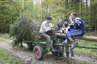2006-10-21 - Samstag - Holen u. Aufstellen der Kirmestanne