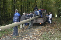 2006-10-21 - Samstag - Holen u. Aufstellen der Kirmestanne