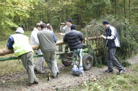 2006-10-21 - Samstag - Holen u. Aufstellen der Kirmestanne