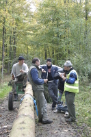 2006-10-21 - Samstag - Holen u. Aufstellen der Kirmestanne