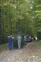 2006-10-21 - Samstag - Holen u. Aufstellen der Kirmestanne