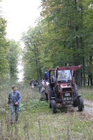 2006-10-21 - Samstag - Holen u. Aufstellen der Kirmestanne