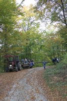 2006-10-21 - Samstag - Holen u. Aufstellen der Kirmestanne
