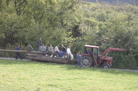 2006-10-21 - Samstag - Holen u. Aufstellen der Kirmestanne