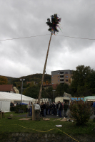 2006-10-21 - Samstag - Holen u. Aufstellen der Kirmestanne