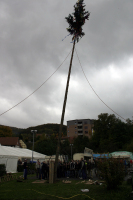 2006-10-21 - Samstag - Holen u. Aufstellen der Kirmestanne