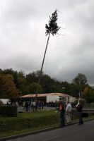2006-10-21 - Samstag - Holen u. Aufstellen der Kirmestanne