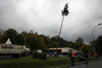 2006-10-21 - Samstag - Holen u. Aufstellen der Kirmestanne
