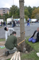 2006-10-21 - Samstag - Holen u. Aufstellen der Kirmestanne