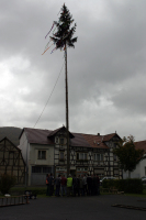2006-10-21 - Samstag - Holen u. Aufstellen der Kirmestanne