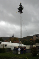 2006-10-21 - Samstag - Holen u. Aufstellen der Kirmestanne