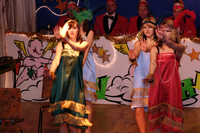 LCV-Seniorenfasching 2007