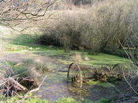Der alte Teich am Keudelstein (2004)
