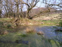 Der alte Teich am Keudelstein (2004)