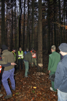 Holen und Aufstellen der Kirmestanne