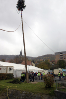 Holen und Aufstellen der Kirmestanne